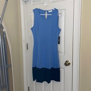 New York & Company Colorblock Dress